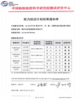 2019 External capability verification